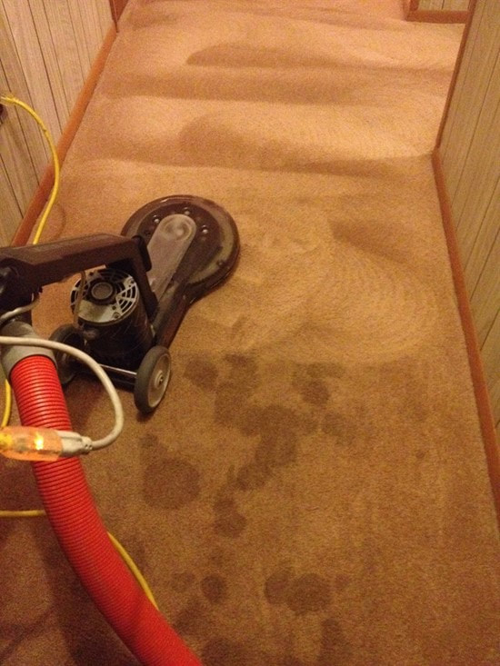 carpet cleaning waterbury ct